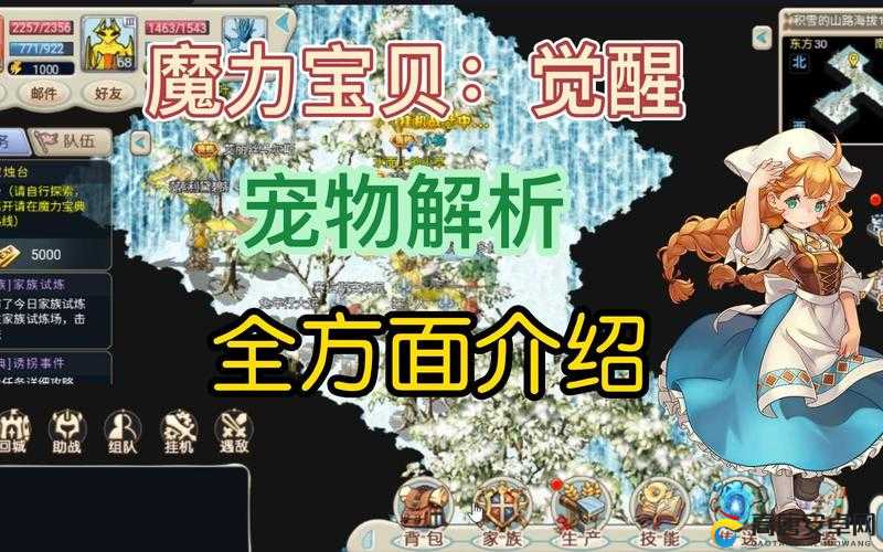 魔力宝贝手机版，全面解析宠物获取途径与高效培养策略