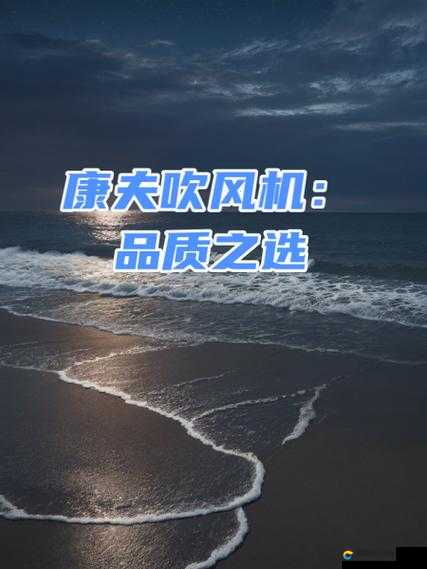 日韩精品第一在——引领潮流的品质之选