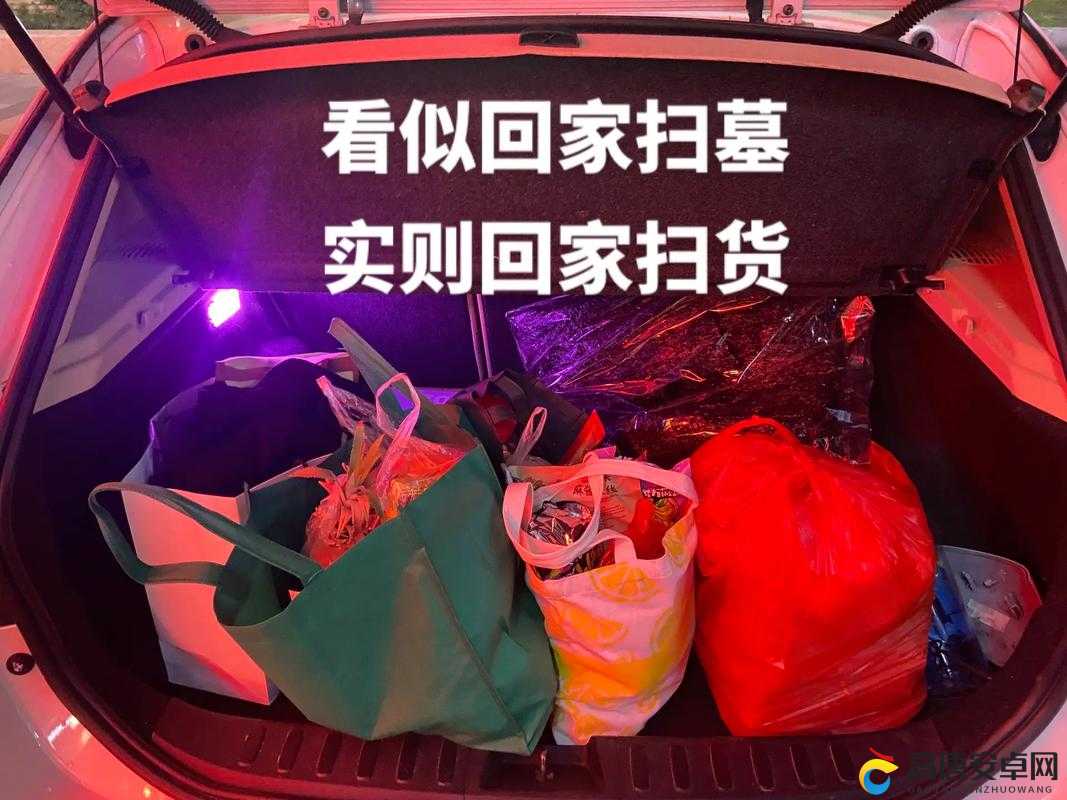 小扫货水能么多叫出来公交车：探寻其背后的奇特现象