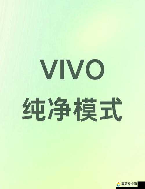 vivo(3.0.3)破解大全：终极指南