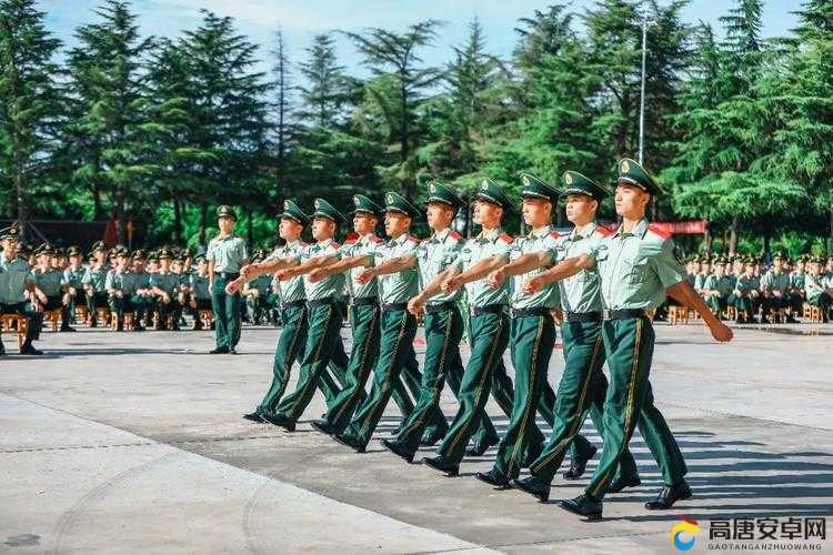 老司机获胜视频教学引领新兵成长，资源管理策略在最终检阅中的核心作用