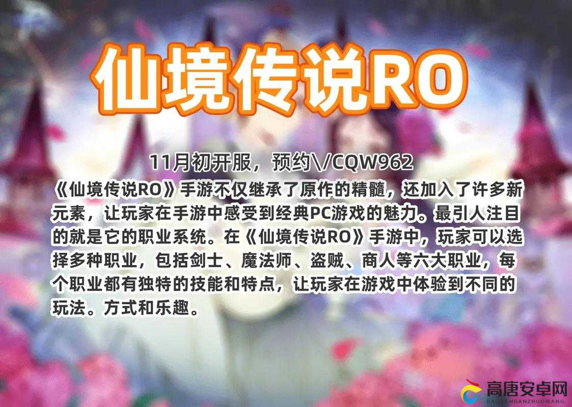 端游老司机深度剖析，仙境传说RO手游中资源管理的重要性与策略