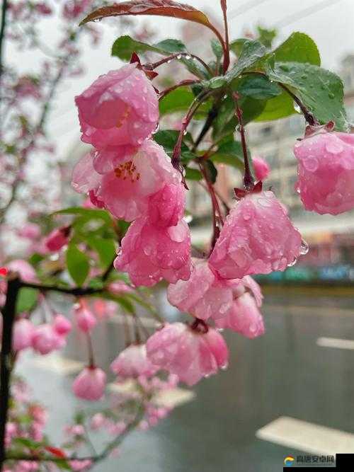 直播春雨来袭，这场春雨会带来怎样的景象？大家快来一起感受